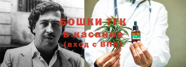 прущие грибы Абдулино