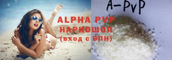 прущие грибы Абдулино