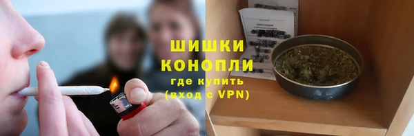 прущие грибы Абдулино