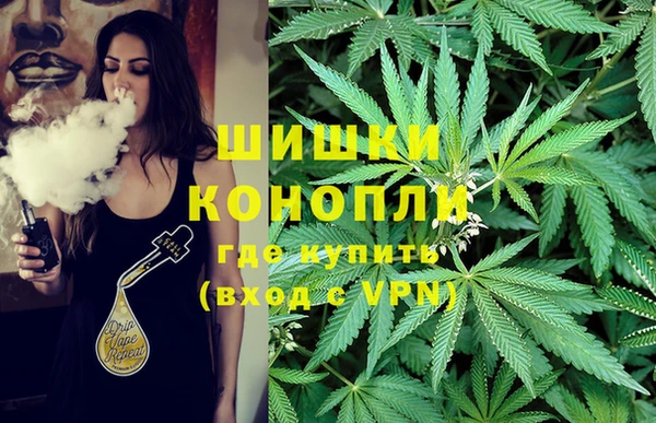 прущие грибы Абдулино