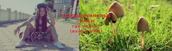 прущие грибы Абдулино