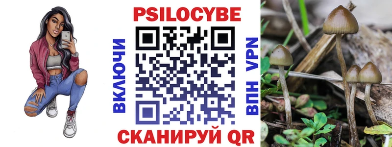 MEGA как зайти как найти наркотики Зея Псилоцибиновые грибы Magic Shrooms